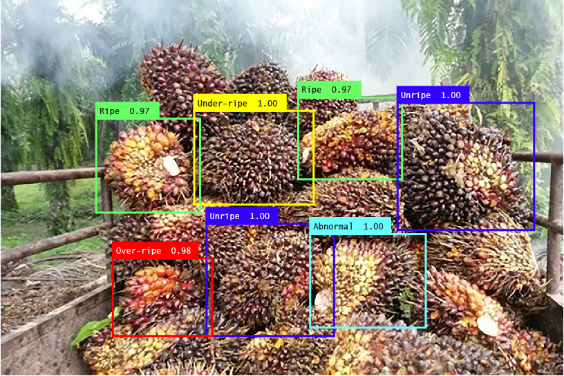 big data for the Palm oil farm